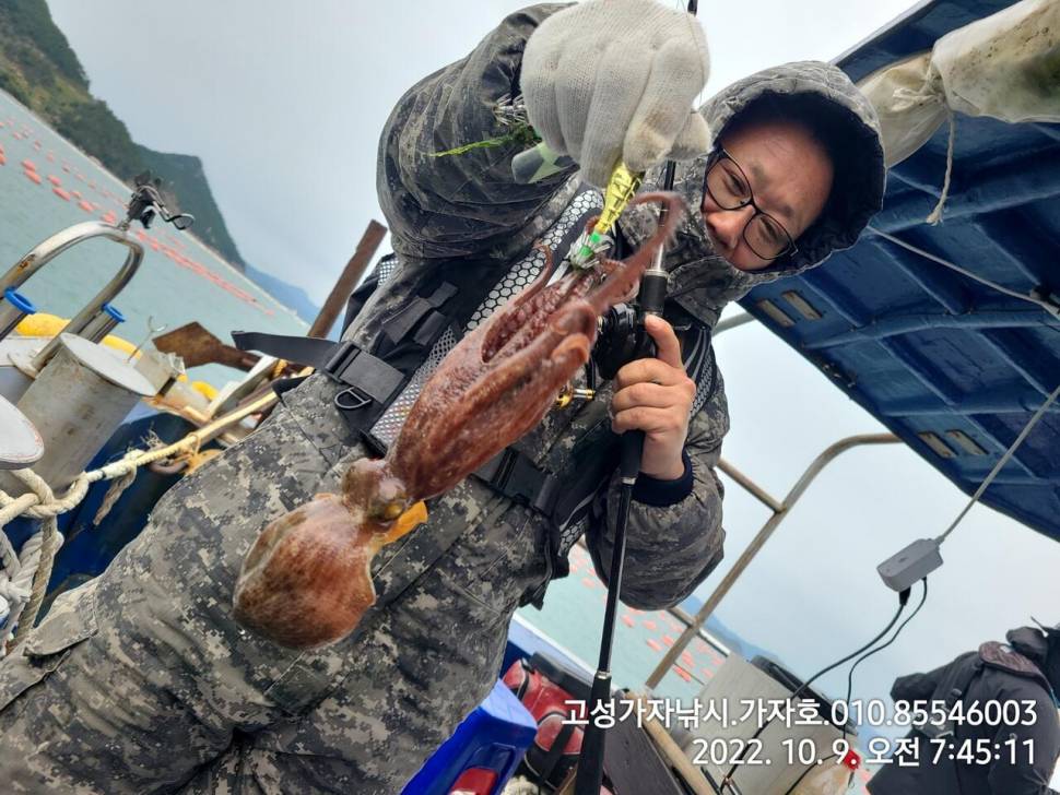 휴일 돌문어 실시간 (조황조행기 - 바다선상조황)
