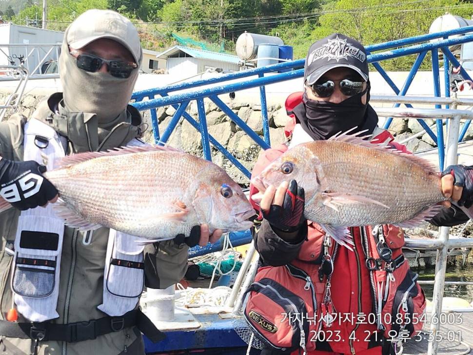 대무 참돔 잡으러 가즈아 (조황조행기 - 바다선상조황)