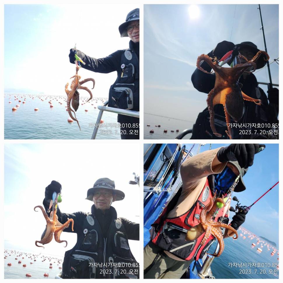 가자호 돌문어 엄청납니다 (조황조행기 - 바다선상조황)