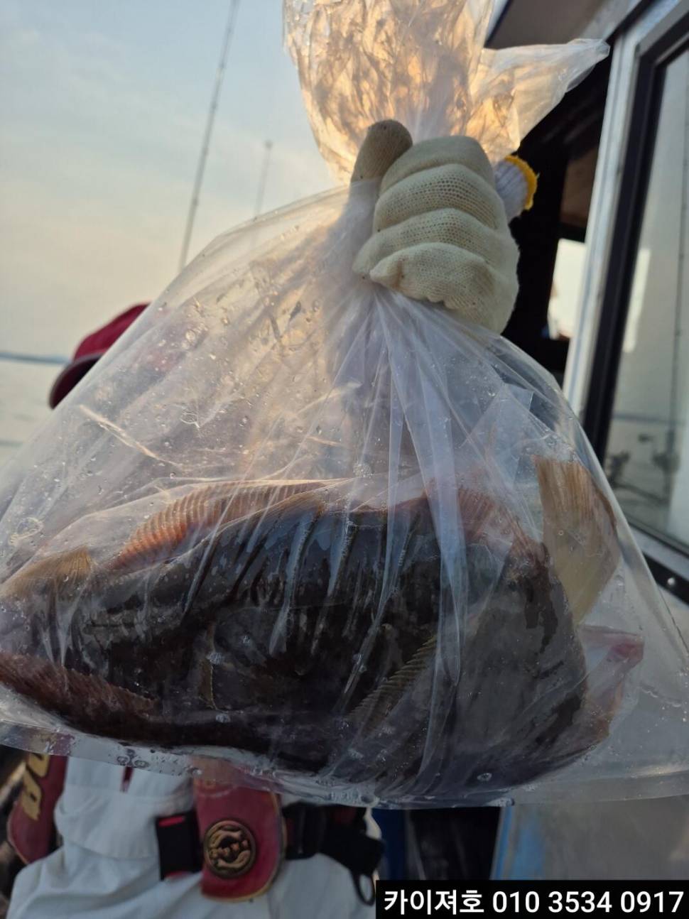 31 오후 역대급 조황 (조황조행기 - 바다선상조황)