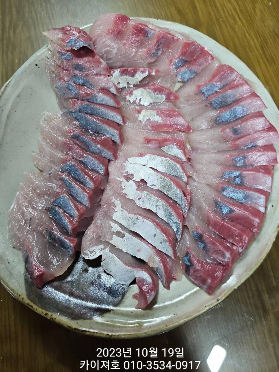 막잡는 대삼치삼치통통 방어 월화 07시 (조황조행기 - 바다선상조황)