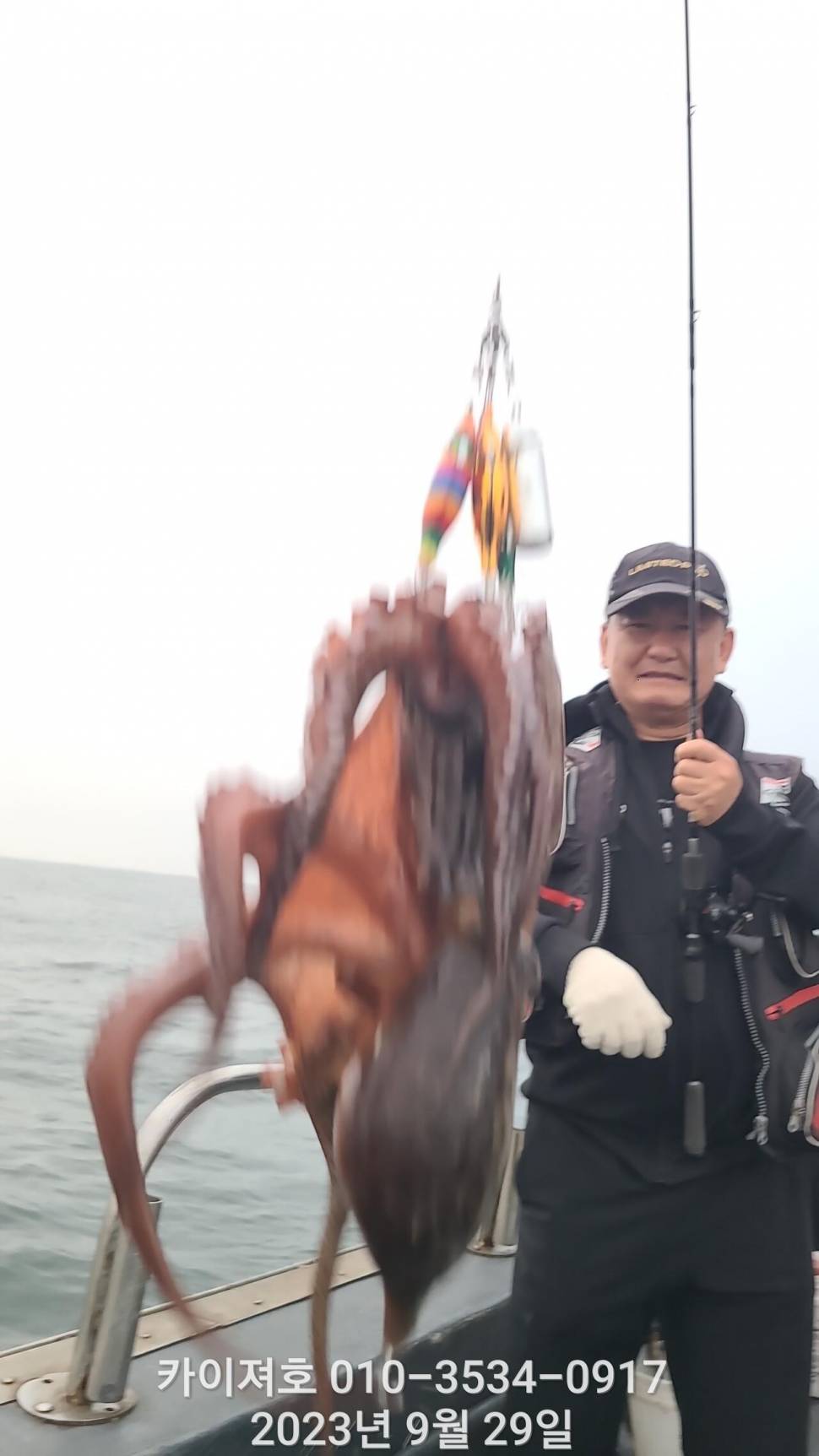 29일밤 돌문어 달달한 마릿수 굿 (조황조행기 - 바다선상조황)