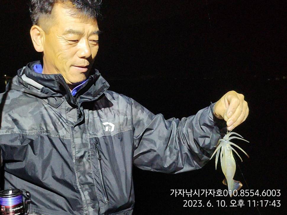 화살촉 오징어 주말 조황 (조황조행기 - 바다선상조황)