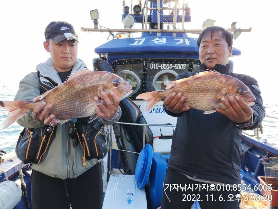감성돔참돔 짜릿한 손맛 조황입니다 (조황조행기 - 바다선상조황)