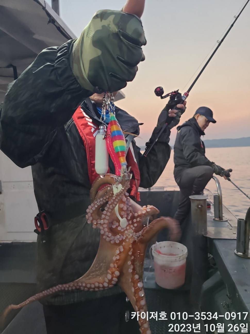 26일포항 돌문어 마릿수도 씨알도 굿 (조황조행기 - 바다선상조황)