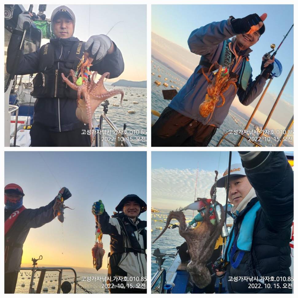 돌문어 2kg오버까지 조황 (조황조행기 - 바다선상조황)
