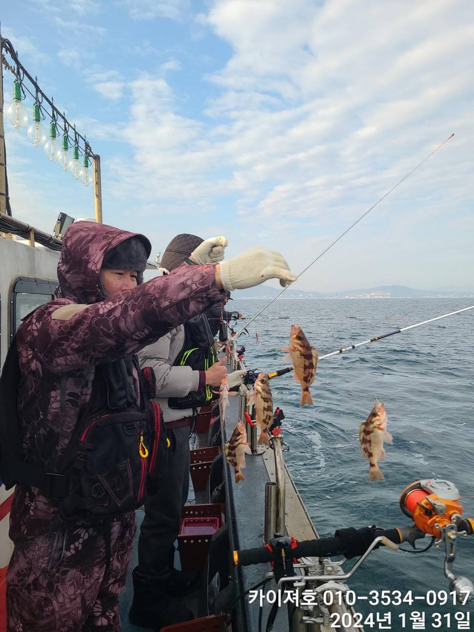 오늘도 볼락열기 만만세 타작 (조황조행기 - 바다선상조황)