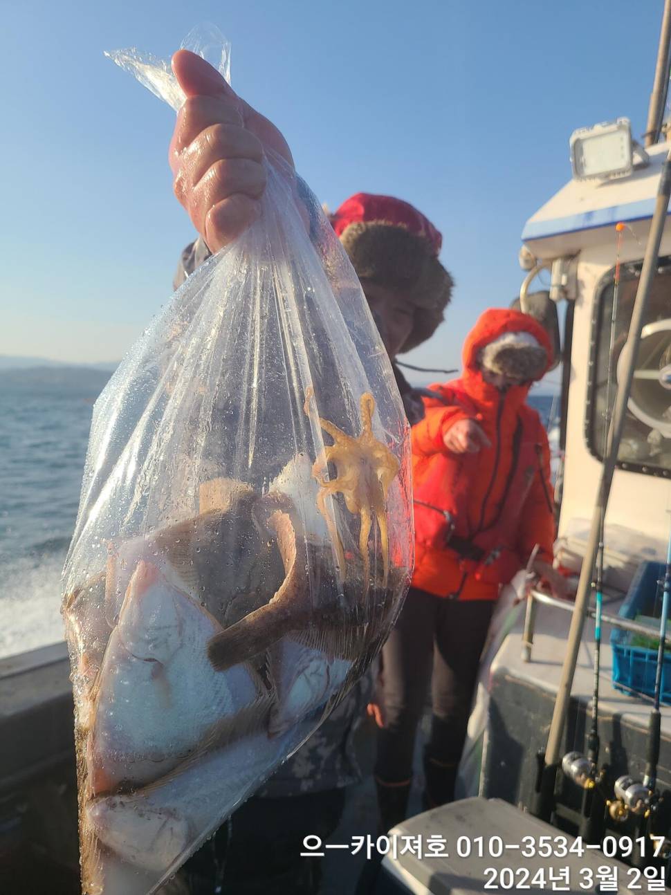 2일 오후 도다리참가자미 대박 입니다 (조황조행기 - 바다선상조황)