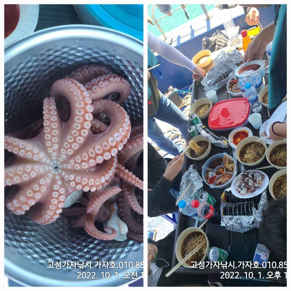 돌문어 가득가득 (조황조행기 - 바다선상조황)