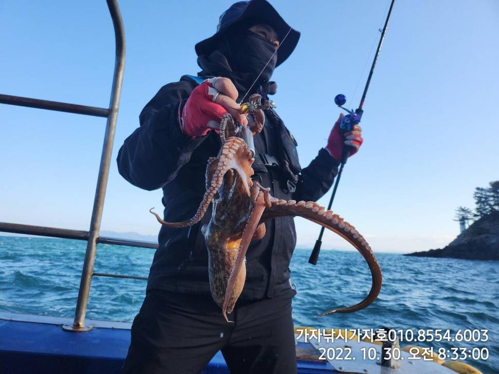 k급 돌문어 실시간 (조황조행기 - 바다선상조황)