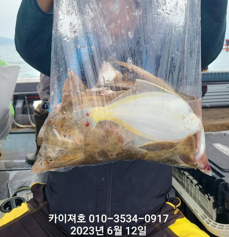 12일오전 울렁울렁 도다리가자미도 멀미ㅋ (조황조행기 - 바다선상조황)