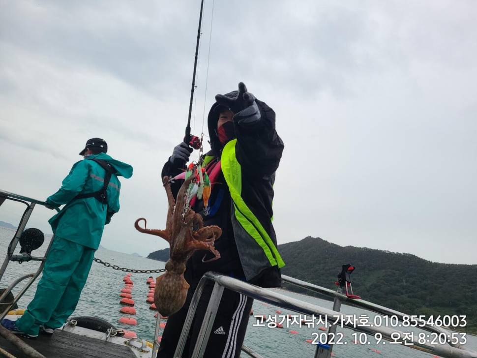 휴일 돌문어 실시간 (조황조행기 - 바다선상조황)