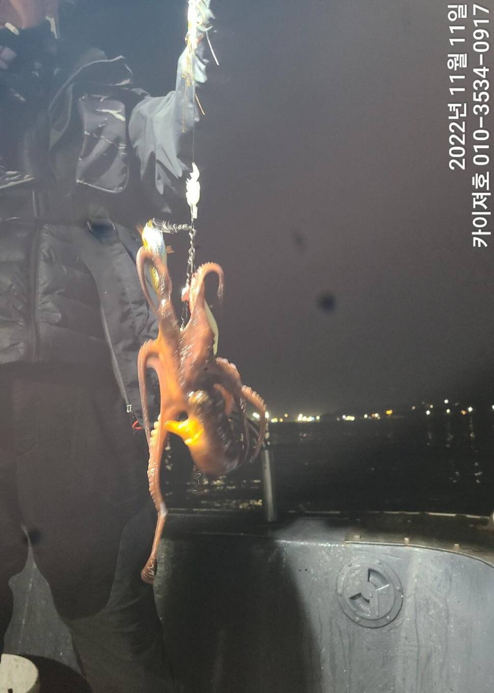 11일 밤 돌문어와의 밀당 (조황조행기 - 바다선상조황)