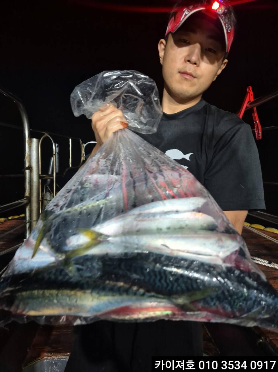 27일 시장급 고등어왕전갱이 조황 (조황조행기 - 바다선상조황)