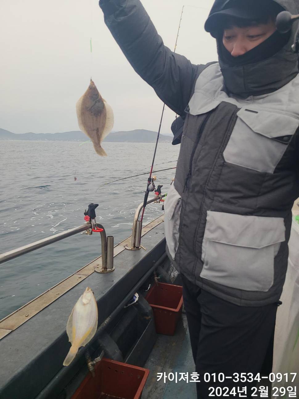 29일 왕도다리참가자미문어는 덤 입니다 (조황조행기 - 바다선상조황)