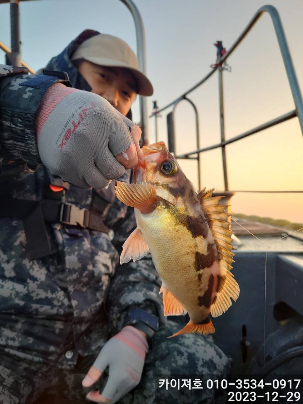 29일 오늘도 타작 엄버지기 볼락열기 (조황조행기 - 바다선상조황)