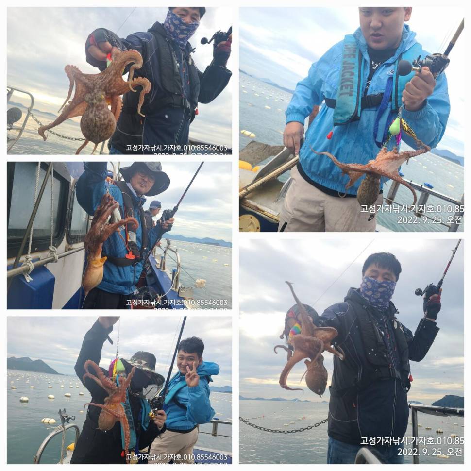 돌문어 초대박 조황 (조황조행기 - 바다선상조황)