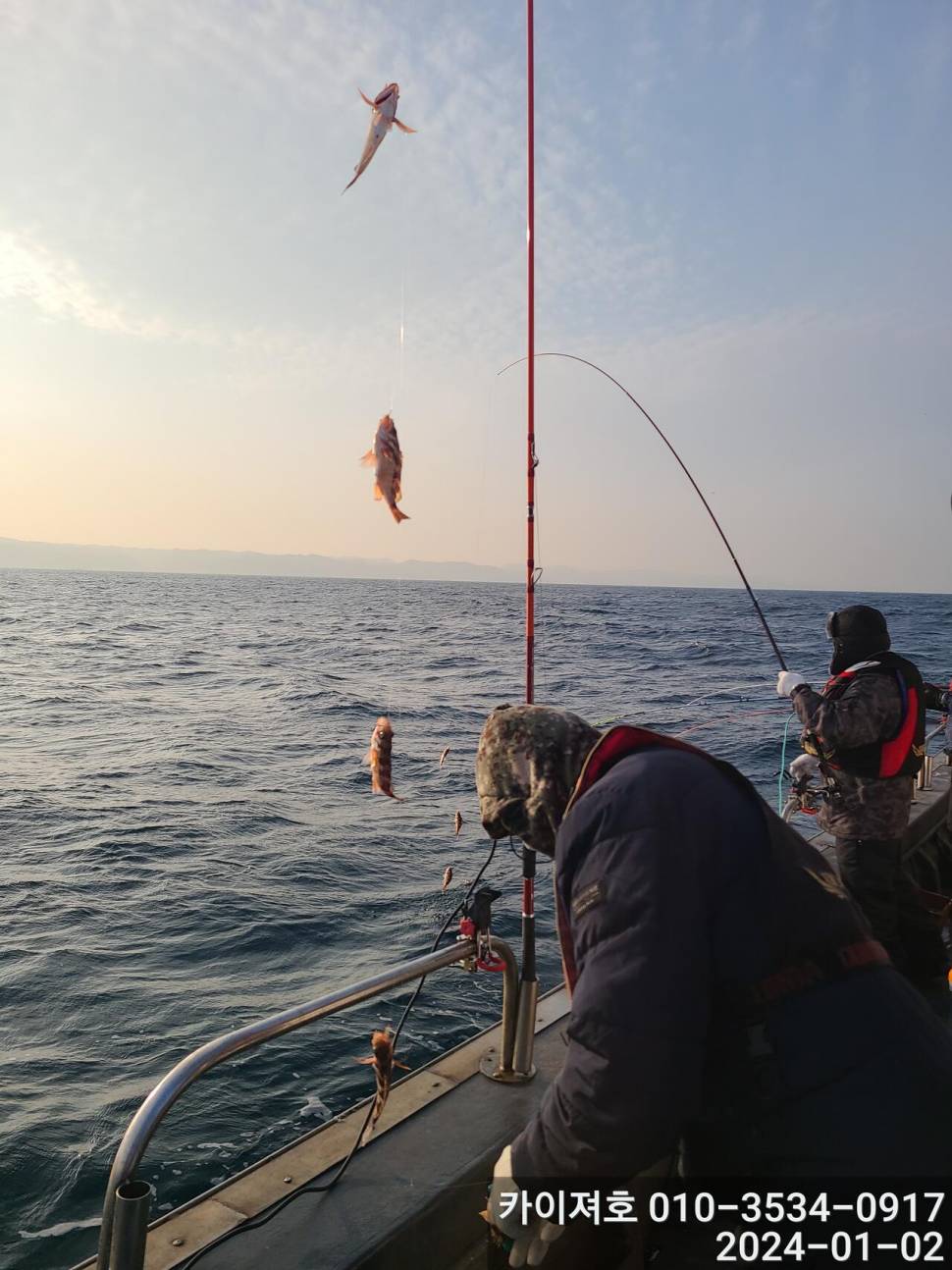 2일 오전 볼라열기 타작 (조황조행기 - 바다선상조황)