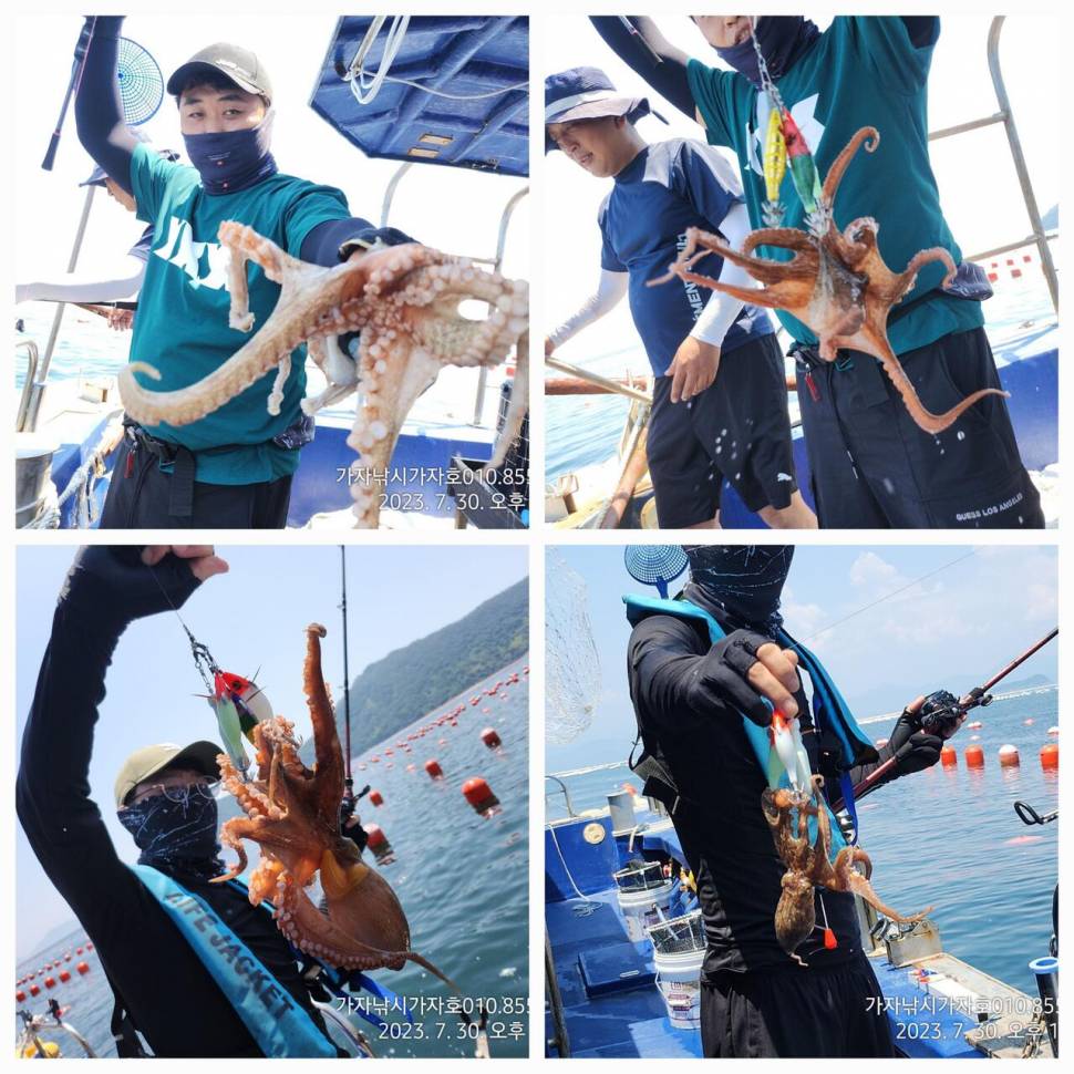 가자호 푹푹찌는 날 돌문어 조황 (조황조행기 - 바다선상조황)