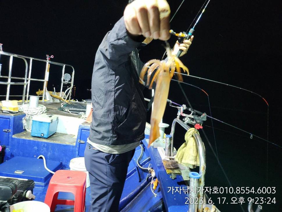야간 화살촉 오징어 조황 참돔 실시간 (조황조행기 - 바다선상조황)