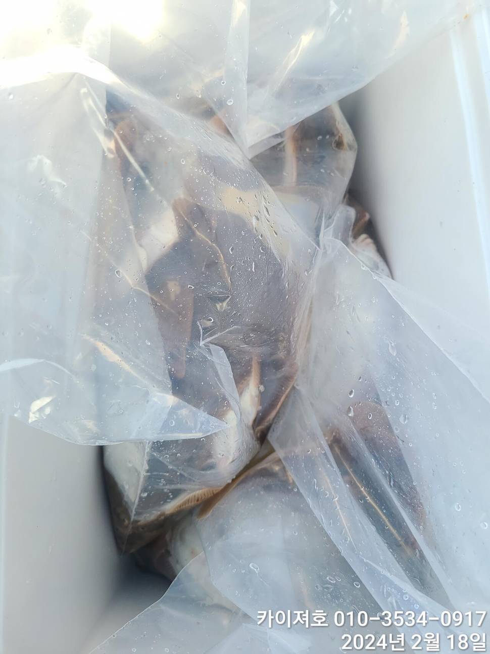 카이져호왕도다리참가자미 수목28일29일 나갑니다 (조황조행기 - 바다선상조황)