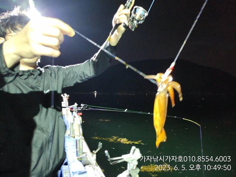 화살촉 오징어 쿨러 가득 (조황조행기 - 바다선상조황)