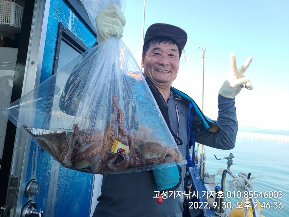 돌문어 금요일 묵직합니다 (조황조행기 - 바다선상조황)