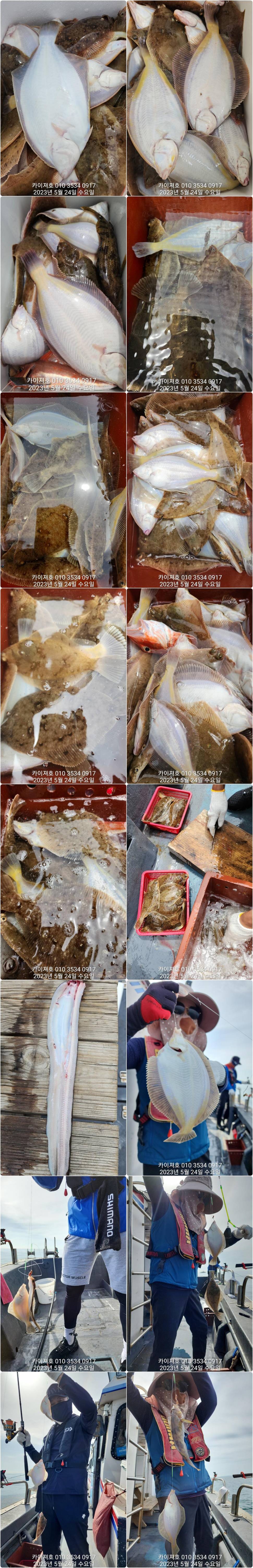 토요일 오전 오후 자리 많음도다리참가자미 억수로 잘 나오는데ㅎ (조황조행기 - 바다선상조황)