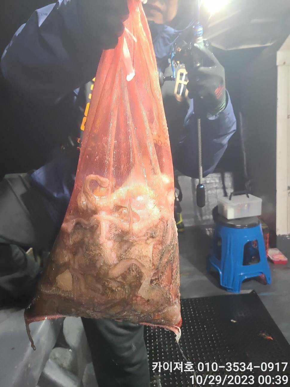 28일포항 야간 돌문어 악조건 속에서도 마릿수 굿 (조황조행기 - 바다선상조황)
