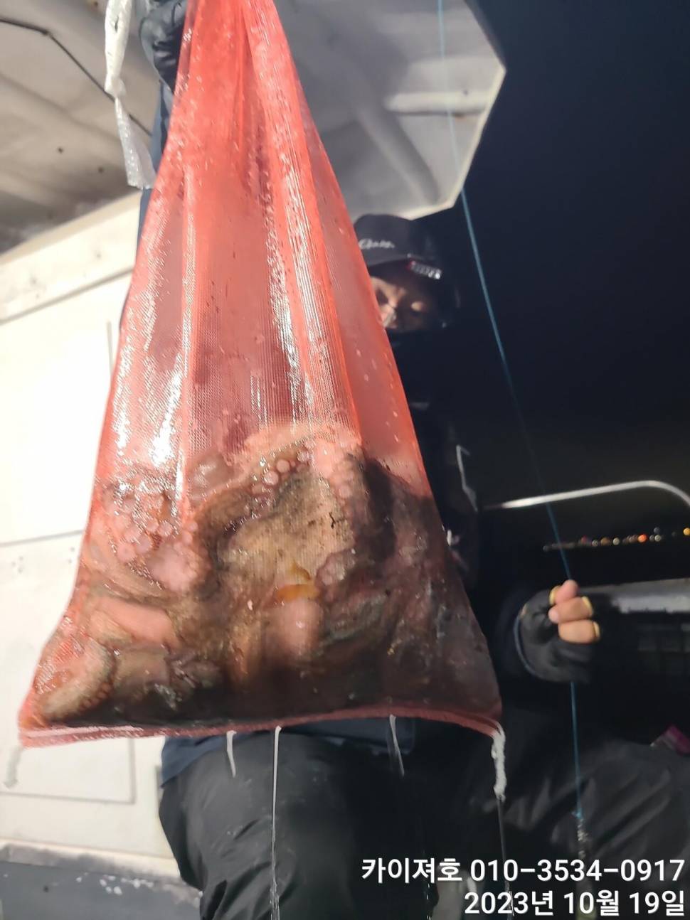 19일 밤 돌문어 조황 일요일17시 여유자리 (조황조행기 - 바다선상조황)
