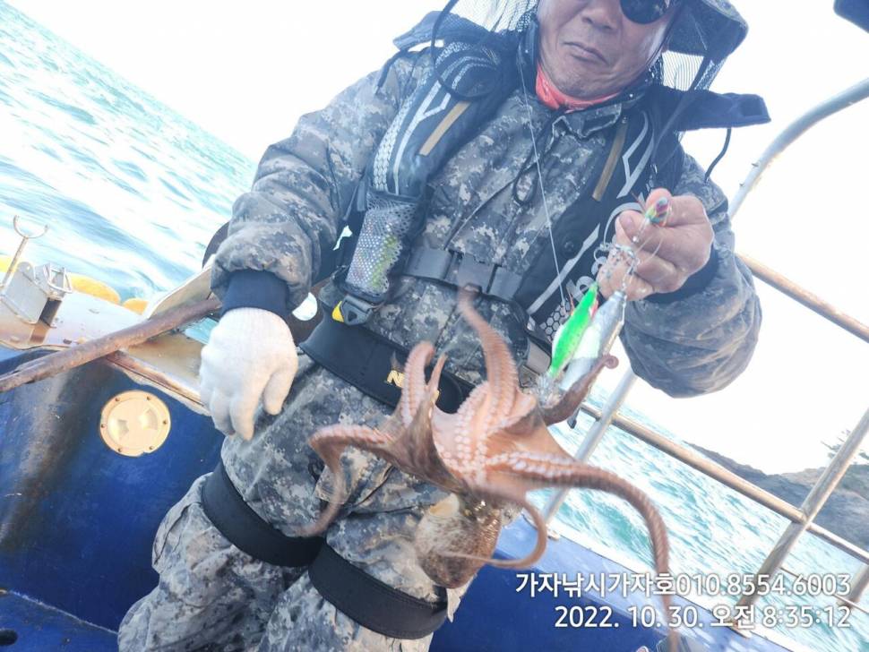 k급 돌문어 실시간 (조황조행기 - 바다선상조황)