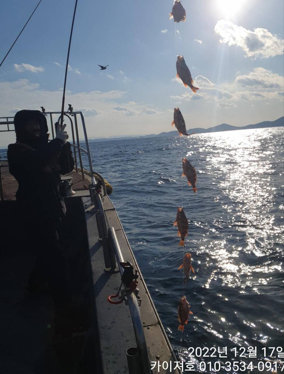 20일 07시 외줄낚시 볼락열기 씨알 좋고 마릿수좋습니다 (조황조행기 - 바다선상조황)