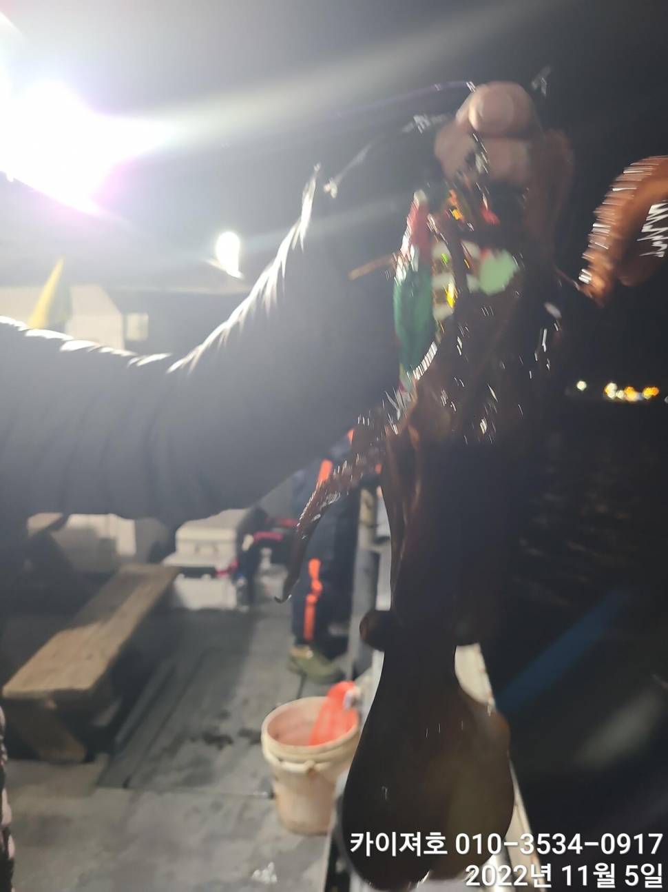 막잡아 삼치 쫀득 뜯어내는 문어 (조황조행기 - 바다선상조황)