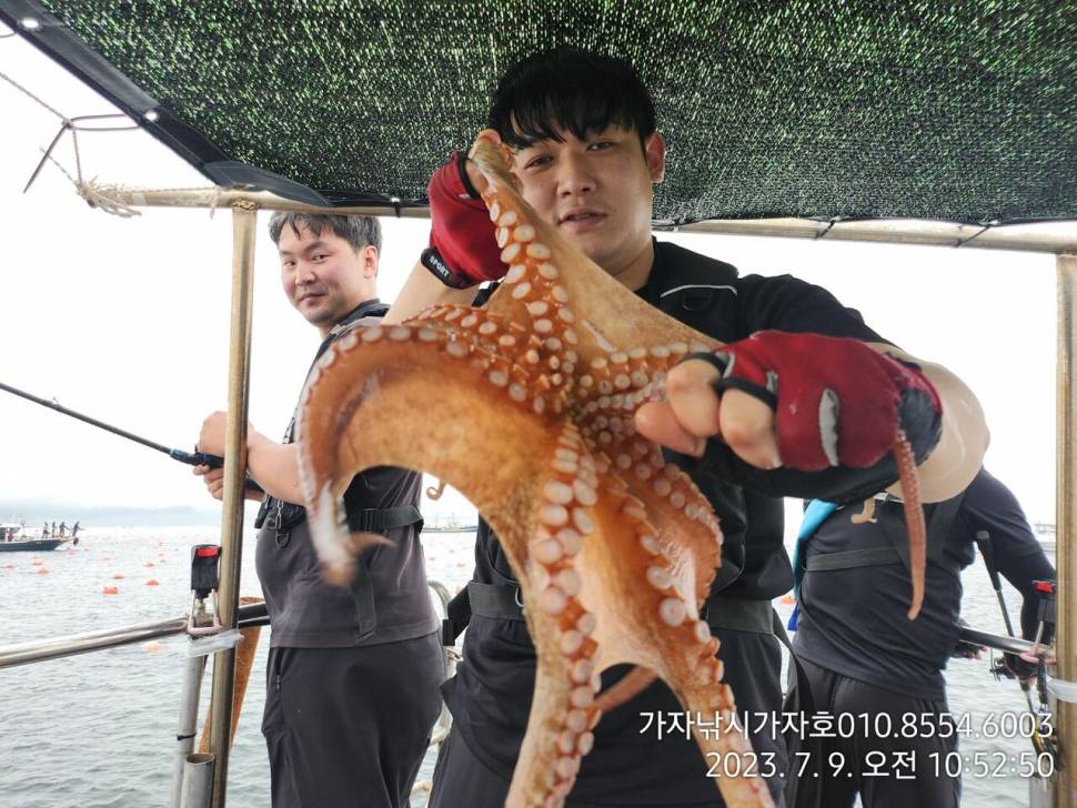 가자호 돌문어 더블히트 키로오버급까지 (조황조행기 - 바다선상조황)