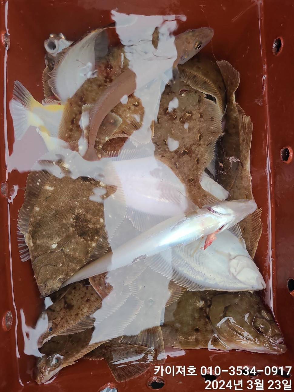 23일오후 대폭발 타작 (조황조행기 - 바다선상조황)
