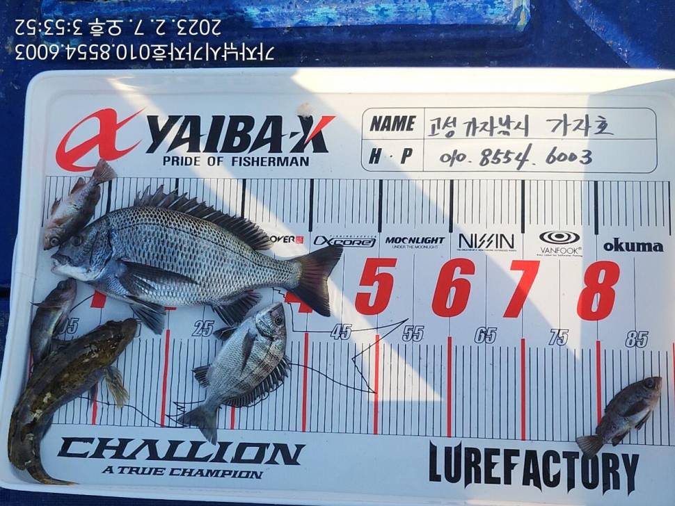 감성돔 4짜 조황 (조황조행기 - 바다선상조황)