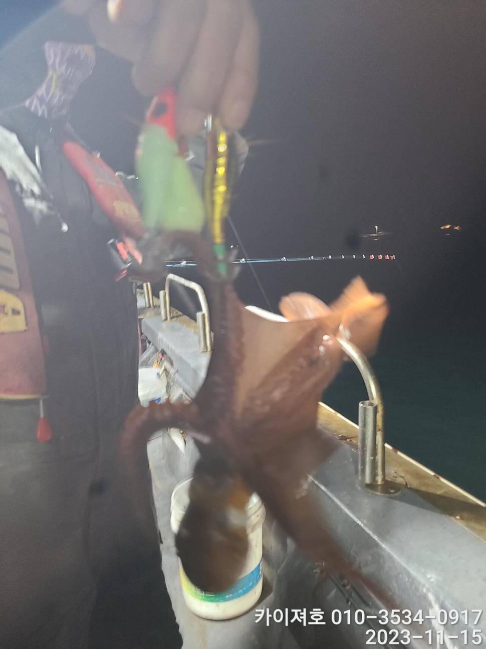 15일 카이져 야간 돌문어 씨알굿 오늘도 역시 (조황조행기 - 바다선상조황)
