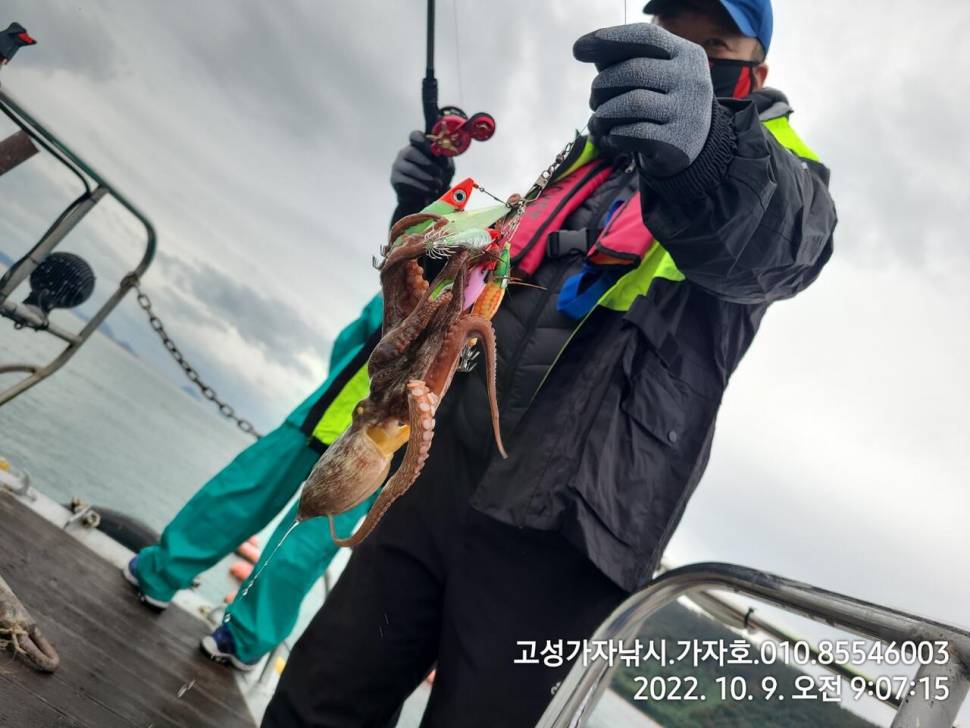 휴일 돌문어 실시간 (조황조행기 - 바다선상조황)