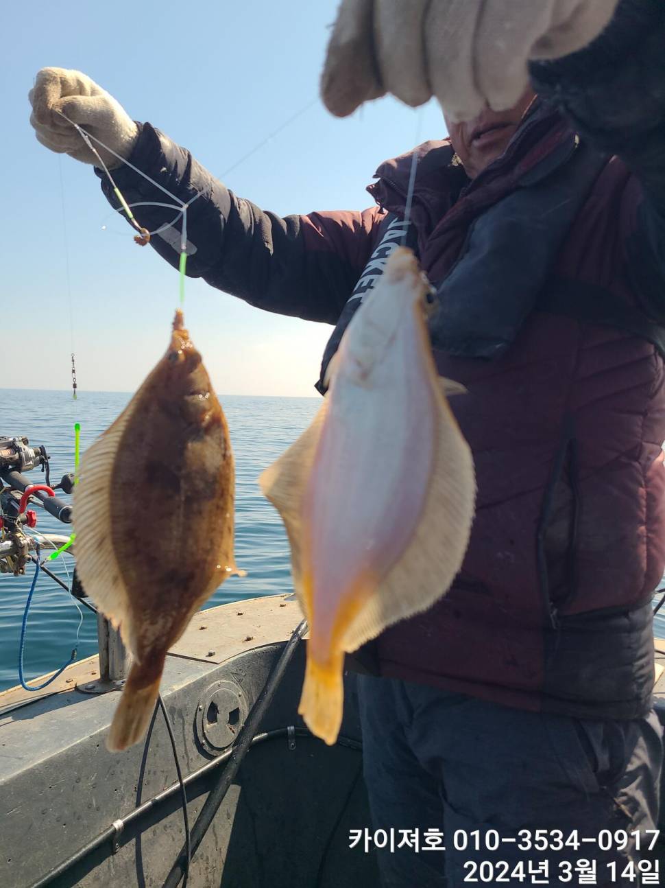 왕도다리참가자미가 풍년 입니다 (조황조행기 - 바다선상조황)