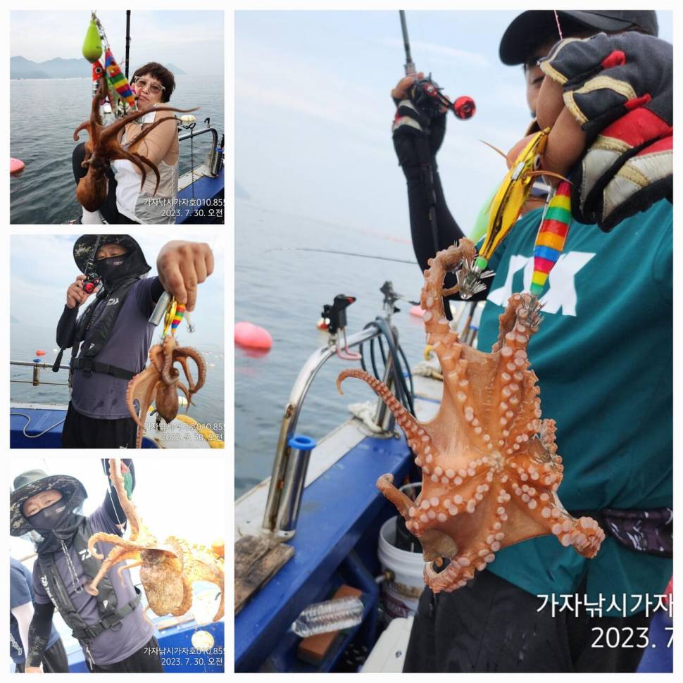 가자호 푹푹찌는 날 돌문어 조황 (조황조행기 - 바다선상조황)