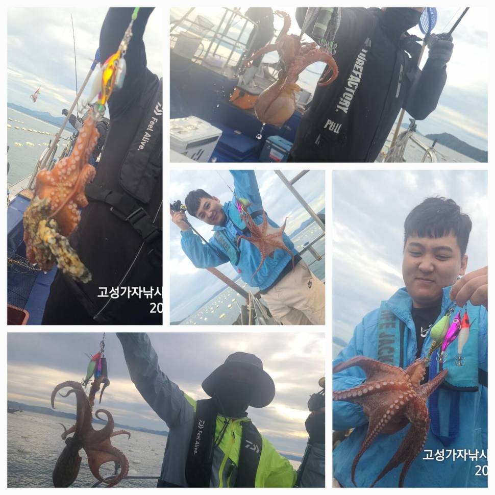 돌문어 초대박 조황 (조황조행기 - 바다선상조황)