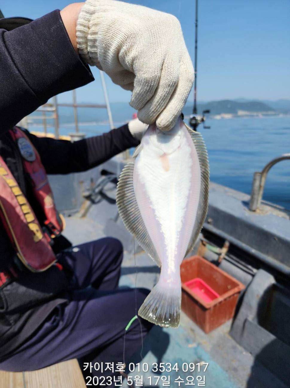 17일 씨알도 마릿수도 듬뿍 (조황조행기 - 바다선상조황)