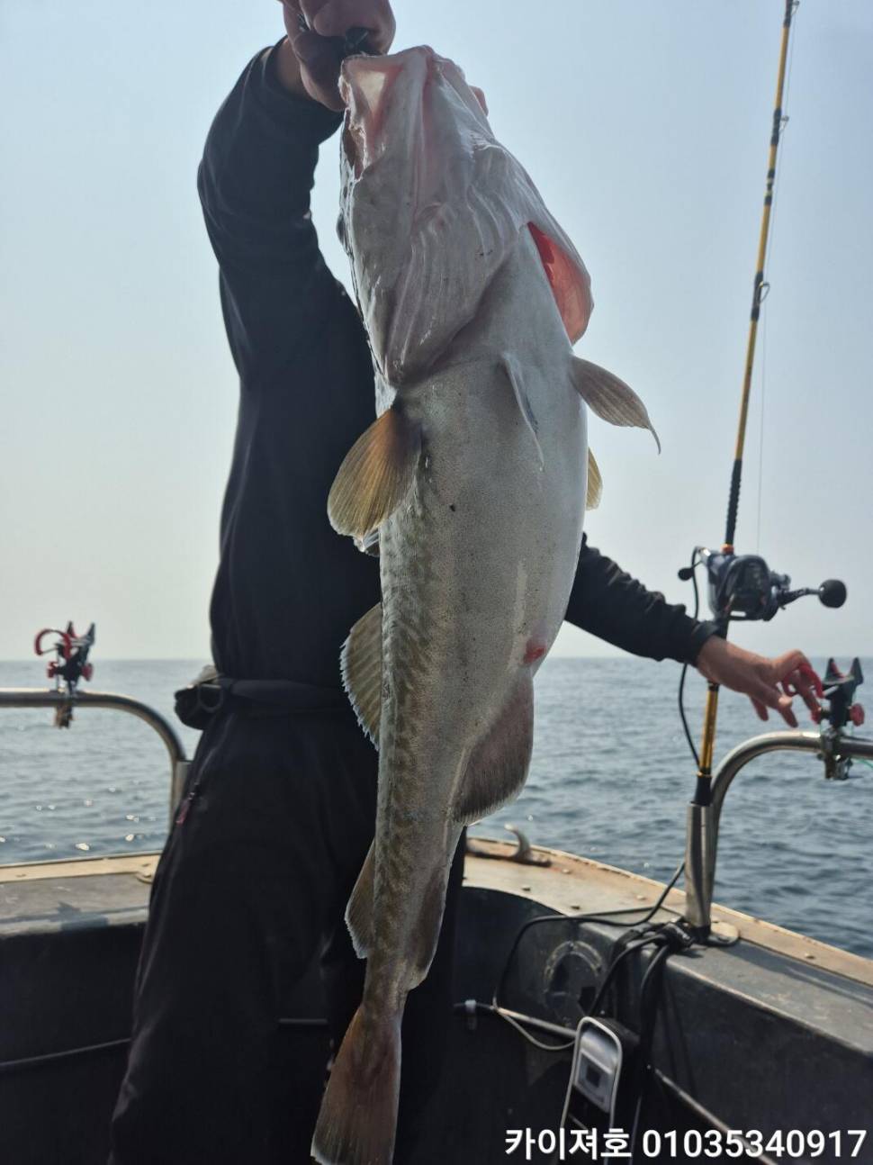 12일 왕대구 타작 악조건 속에서도 (조황조행기 - 바다선상조황)