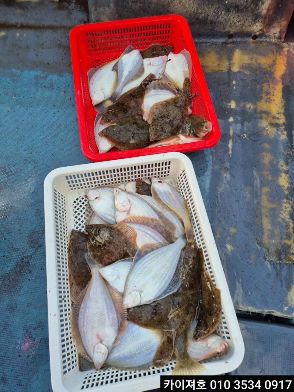 3일오후도 타작 (조황조행기 - 바다선상조황)