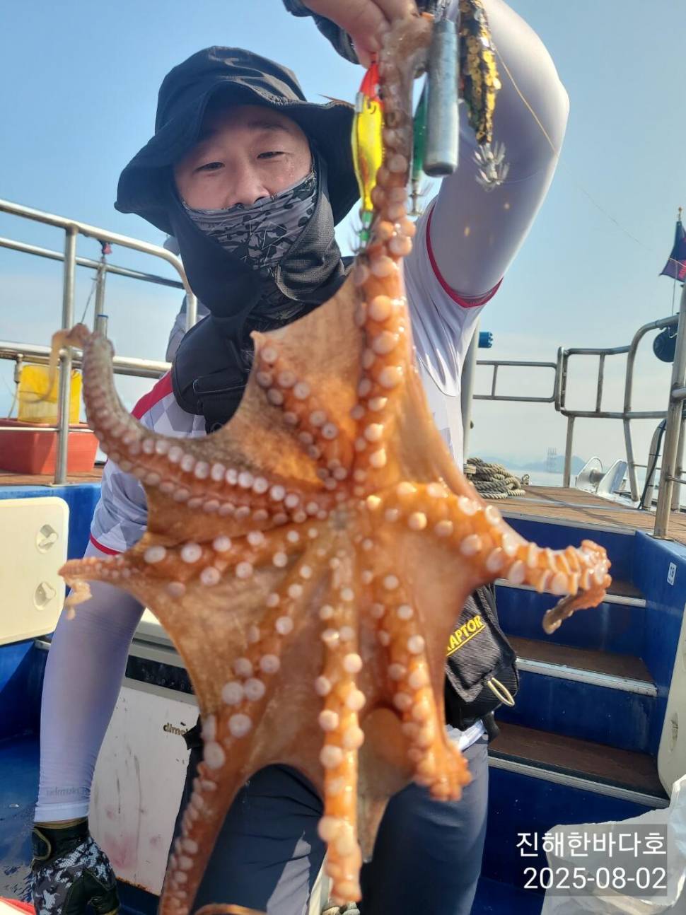 진해한바다호 오늘도 활성도좋게 올라오는 돌문어 쭉 뜯어올려주시며 찐한 손맛보고 왔습니다0 (조황조행기 - 바다선상조황)