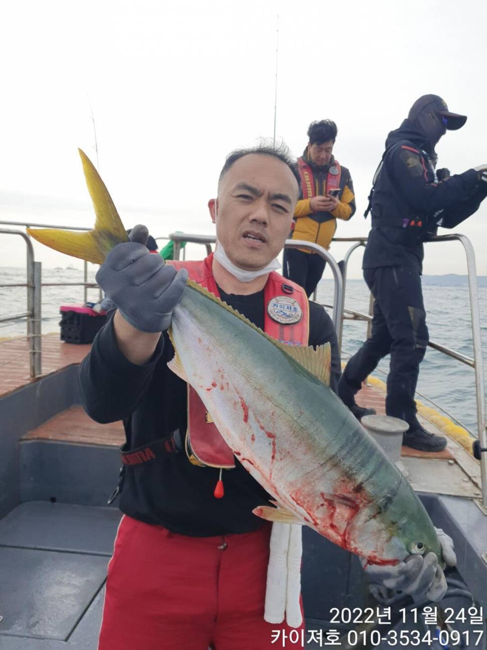 24일 오전 가을 오동통 방어 손맛 찐 합니다 (조황조행기 - 바다선상조황)
