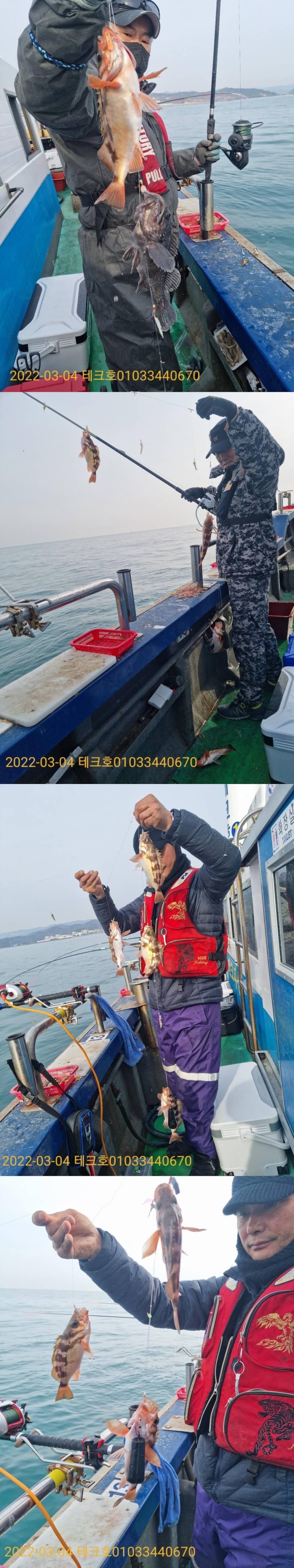대물우럭들과 큰열기 (조황조행기 - 바다선상조황)
