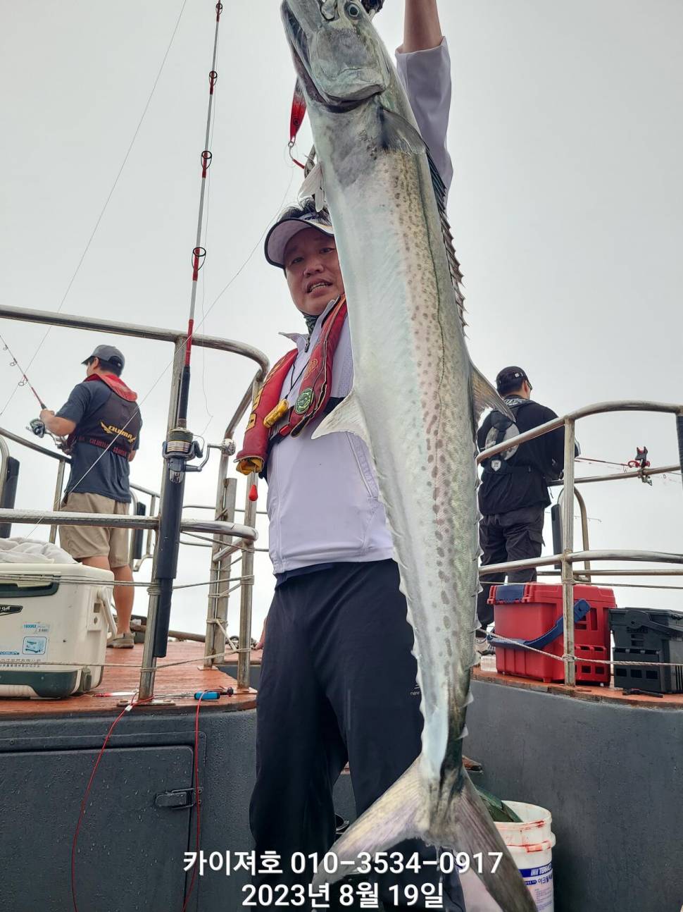 19일 대삼치 현재상황 완전 좋아 (조황조행기 - 바다선상조황)