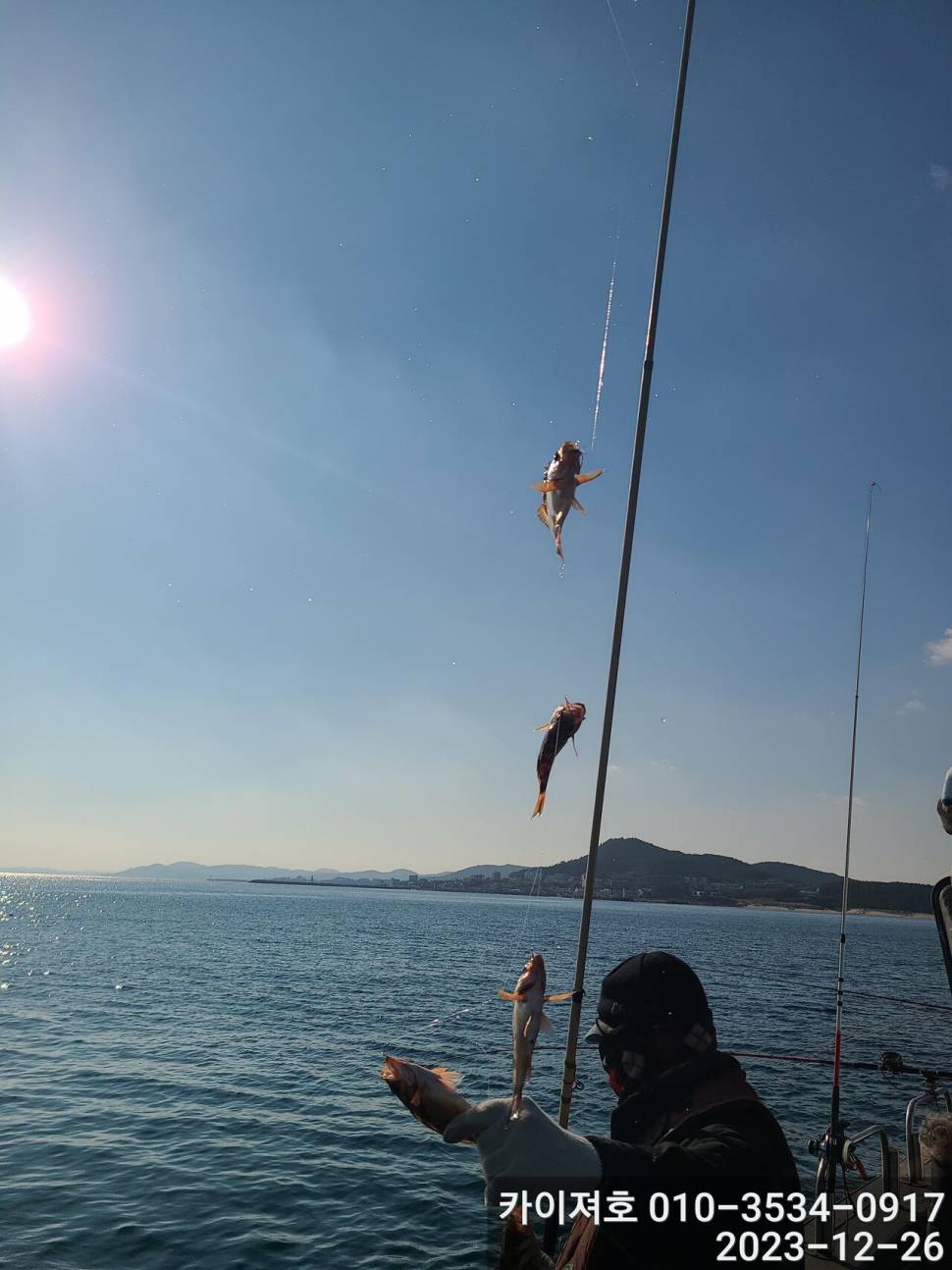 26일오전 볼락 열기 타작 입니다 (조황조행기 - 바다선상조황)