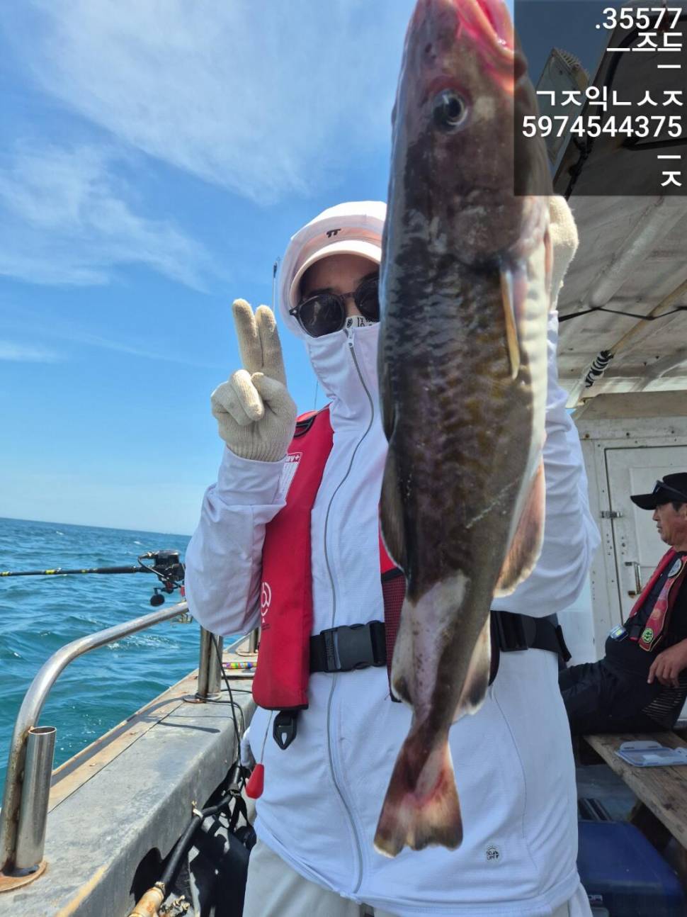 28일왕초보도 전원히트 28일 대구조황 (조황조행기 - 바다선상조황)